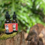 EASE - 550 mg Full Spectrum Hemp Extract (CBD) for Dogs with Turmeric and Frankincense - 550 mg CBD per 2 FL OZ