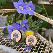 NOURISH Full Spectrum Hemp Extract (CBD) Salve: Dry Paws, Elbows and Nose - 150 mg CBD per 1 FL OZ