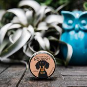 NOURISH Full Spectrum Hemp Extract (CBD) Salve: Dry Paws, Elbows and Nose - 150 mg CBD per 1 FL OZ